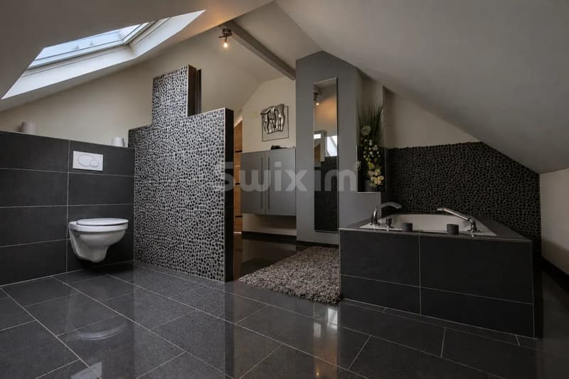 Maison villageoise individuelle d'exception avec une grande parcelle arborée (6)
