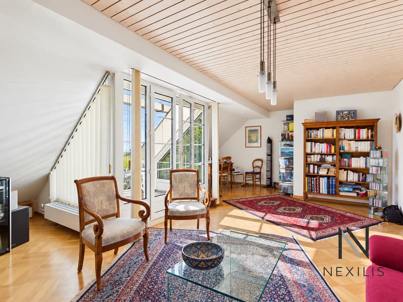 Vue lac : duplex en attique (1)