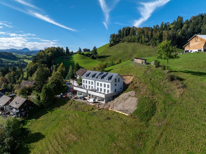 6.5-Zi. Reihenendhaus mit Säntisblick in Dicken (1)