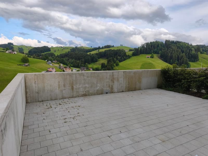 6.5-Zi. Reihenendhaus mit Säntisblick in Dicken (4)