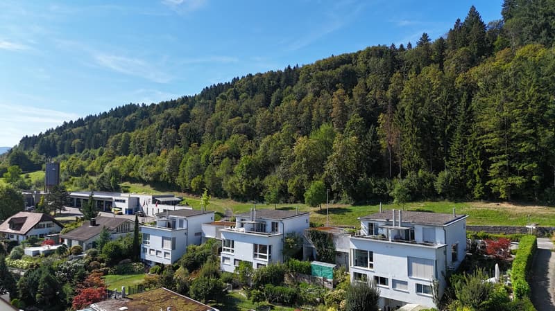 Charmantes 5.5-Zimmer-Doppeleinfamilienhaus an ruhiger Lage in Horgen (2)