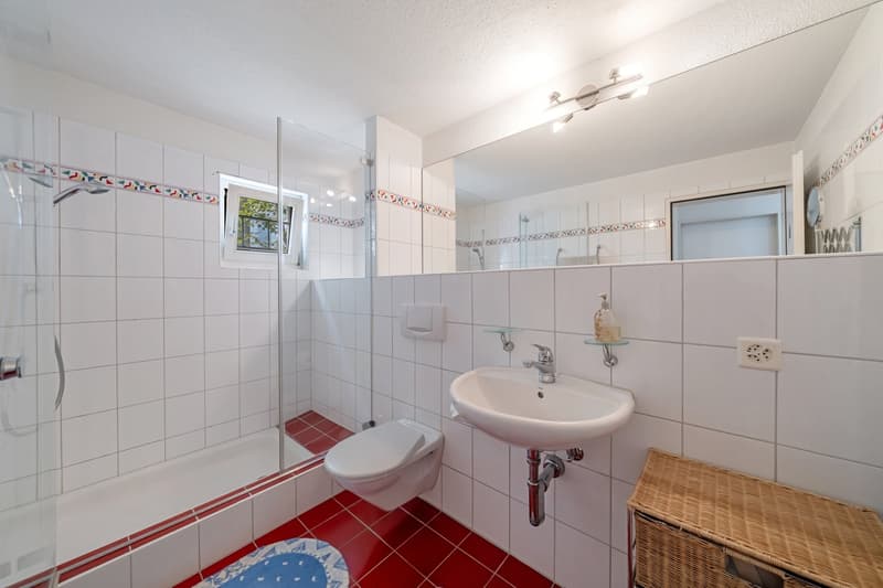 Charmantes 5.5-Zimmer-Doppeleinfamilienhaus an ruhiger Lage in Horgen (8)