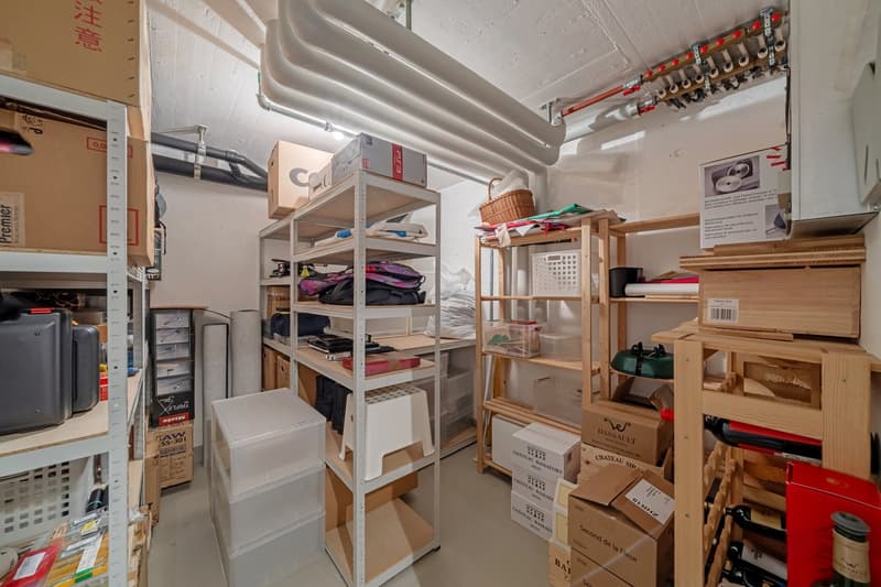 Charmantes 5.5-Zimmer-Doppeleinfamilienhaus an ruhiger Lage in Horgen (12)