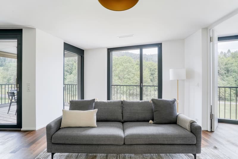 Moderne 2.5-Zimmer-Wohnung mit Balkon und Blick ins Grüne und auf die Sihl (2)