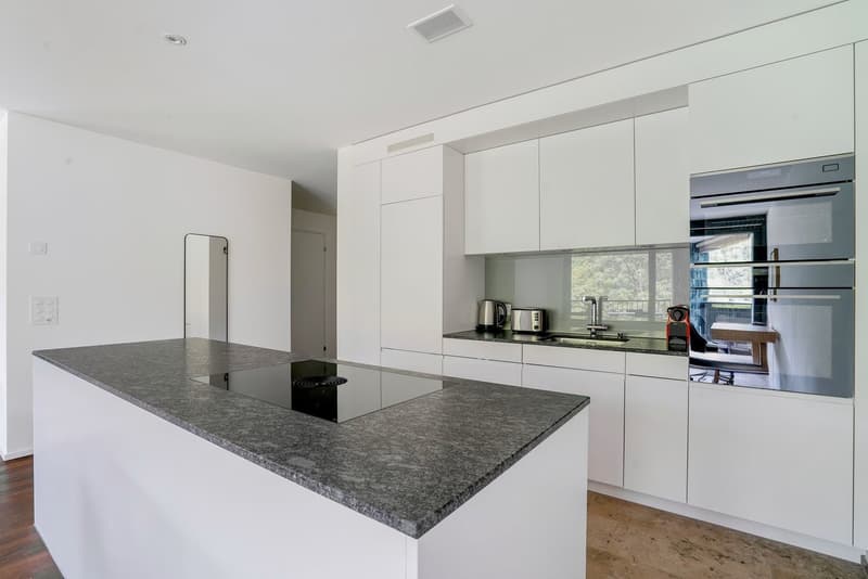 Moderne 2.5-Zimmer-Wohnung mit Balkon und Blick ins Grüne und auf die Sihl (7)
