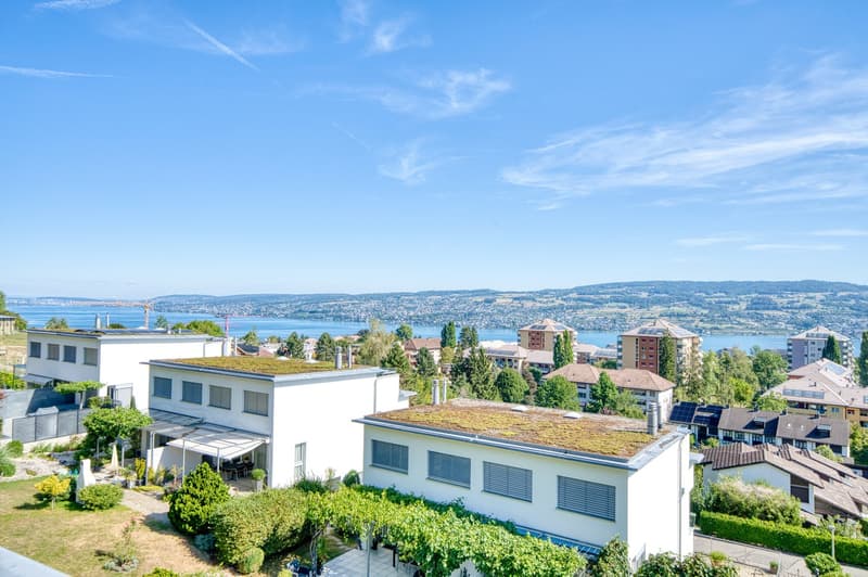 Charmantes 5.5-Zimmer-Doppeleinfamilienhaus an ruhiger Lage in Horgen (4)