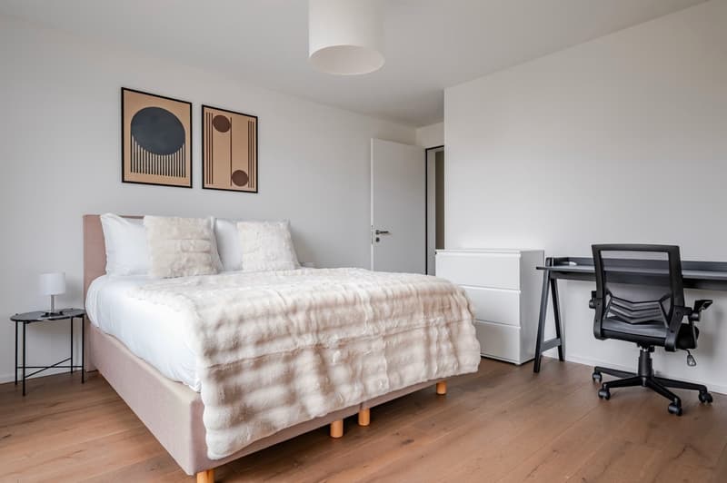 Neubau: Helle und Moderne 4.5-Zimmer-Wohnung im 2. OG (13)