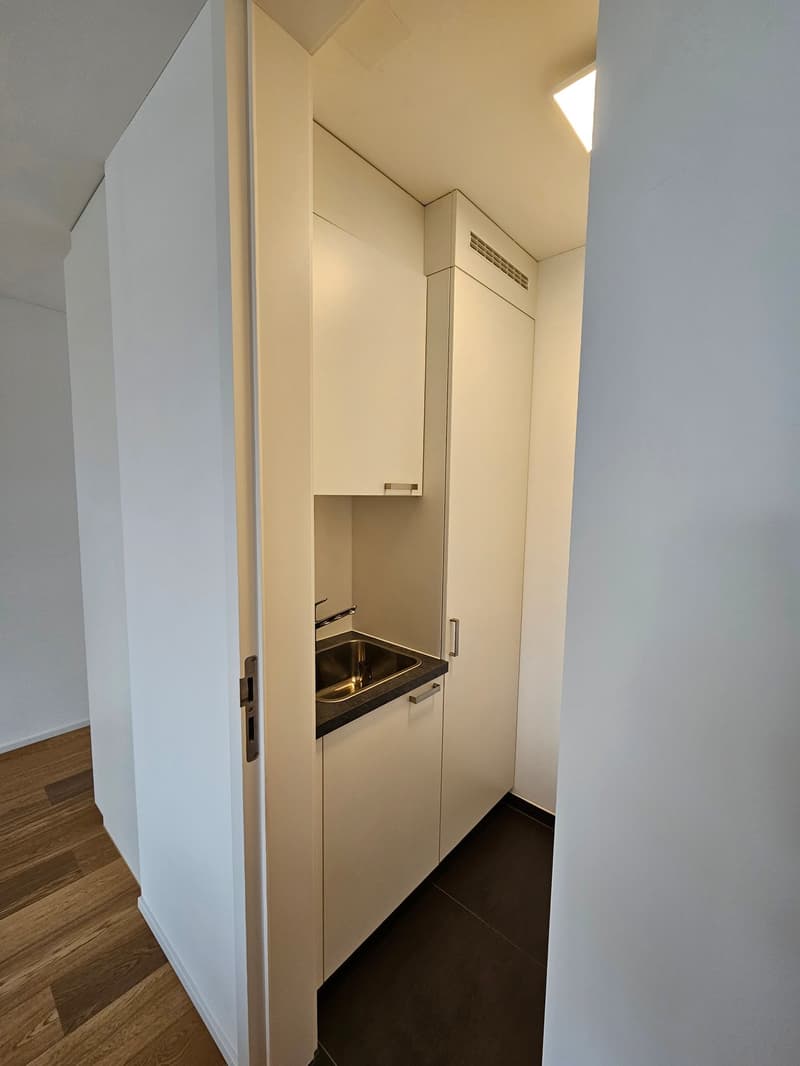 Luxuriöse 3,5 Zi-Wohnung im Herzen von Siebnen SZ (6)