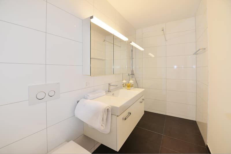 Luxuriöse 3,5 Zi-Wohnung im Herzen von Siebnen SZ (2)