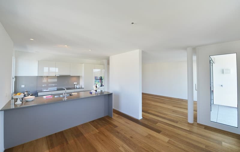 Luxuriöse 3,5 Zi-Wohnung im Herzen von Siebnen SZ (1)