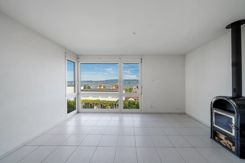 Charmantes 5.5-Zimmer-Doppeleinfamilienhaus an ruhiger Lage in Horgen (9)