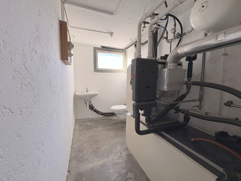Parc Guintzet: Maison 2 appartements / Haus mit Garten in Fribourg (18)