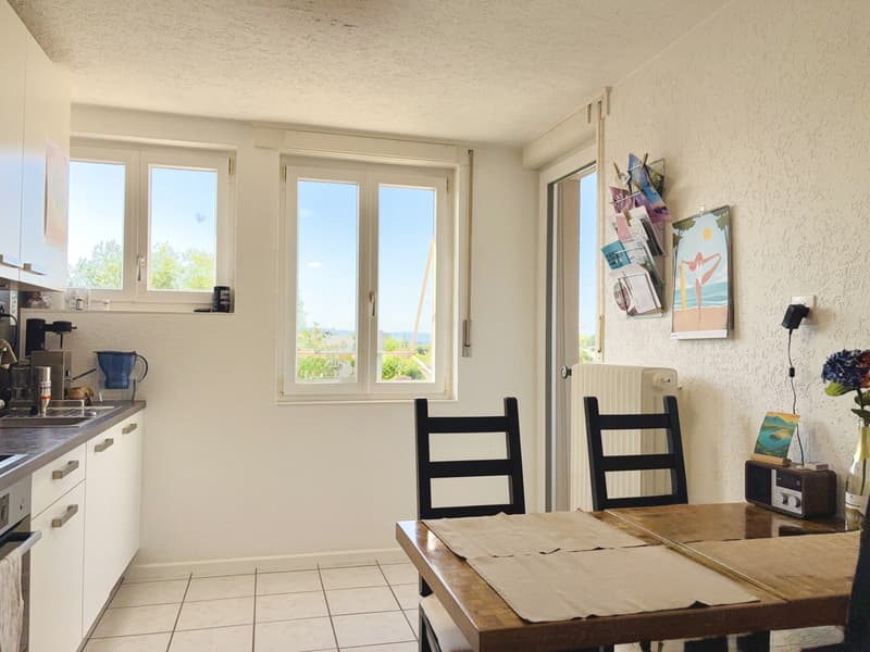 Parc Guintzet: Maison 2 appartements / Haus mit Garten in Fribourg (13)