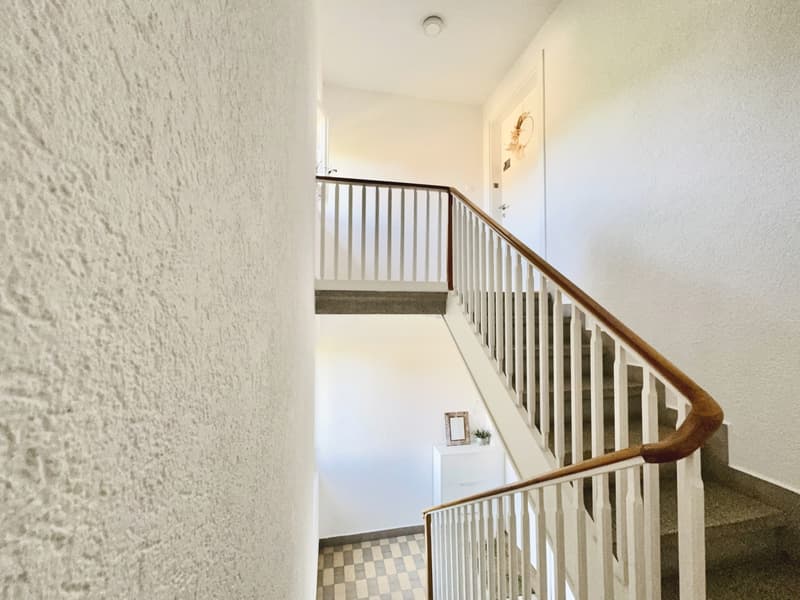 Parc Guintzet: Maison 2 appartements / Haus mit Garten in Fribourg (15)