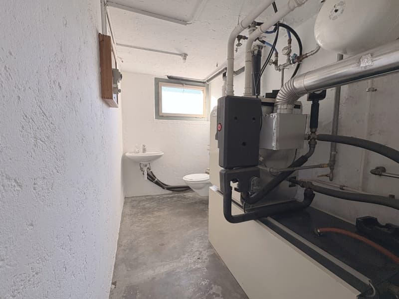 Parc Guintzet: Maison 2 appartements / Haus mit Garten in Fribourg (16)
