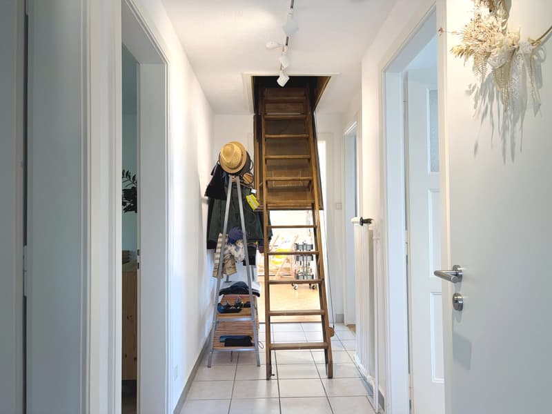 Parc Guintzet: Maison 2 appartements / Haus mit Garten in Fribourg (13)