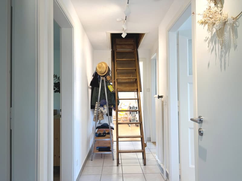 Parc Guintzet: Maison 2 appartements / Haus mit Garten in Fribourg (14)
