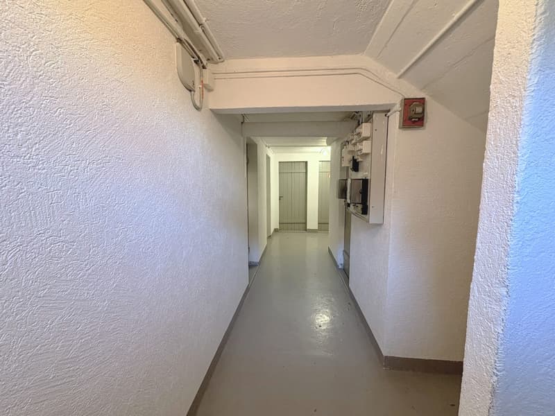 Parc Guintzet: Maison 2 appartements / Haus mit Garten in Fribourg (14)