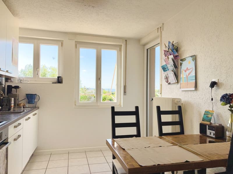 Parc Guintzet: Maison 2 appartements / Haus mit Garten in Fribourg (12)