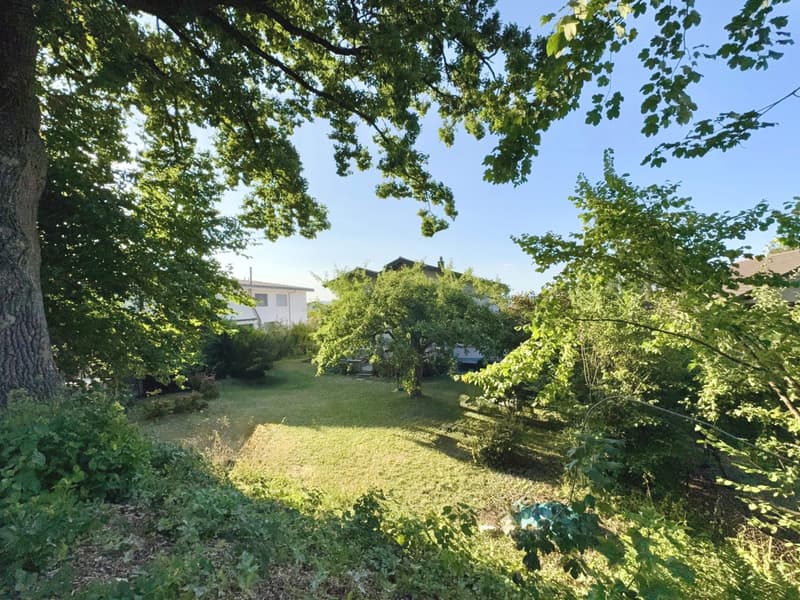 Parc Guintzet: Maison 2 appartements / Haus mit Garten in Fribourg (6)