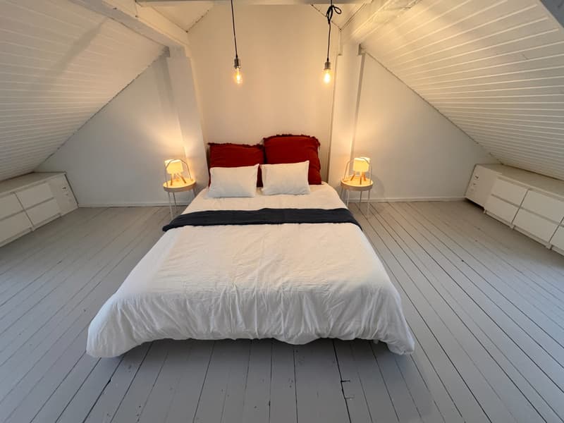 Charmantes 5.5-Zimmer-Reihenhaus mit grosser Terrasse und Garten in Zürich-Oerlikon (9)