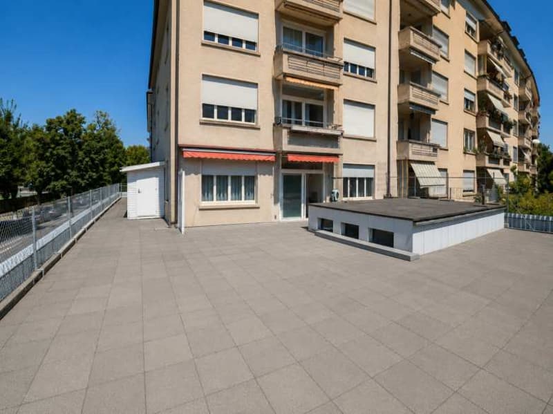 Charaktervolle Eigentumswohnung mit aussergewöhnlich grosser Terrasse (7)