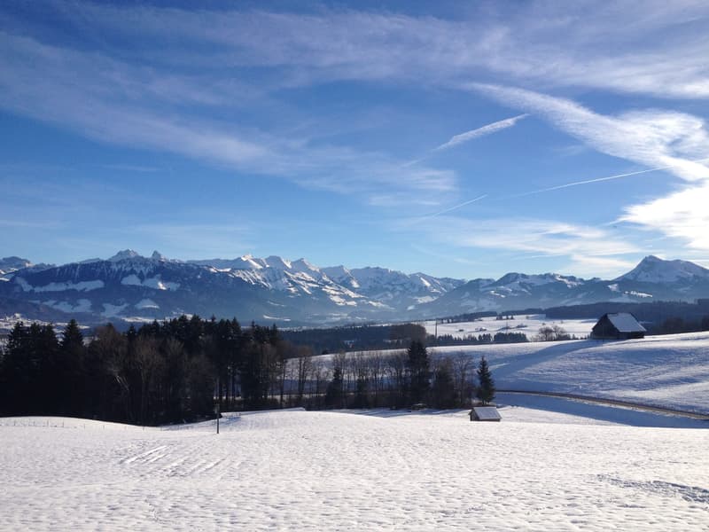 Rare à la vente – Chalet d’exception avec vue panoramique et calme absolu (3)