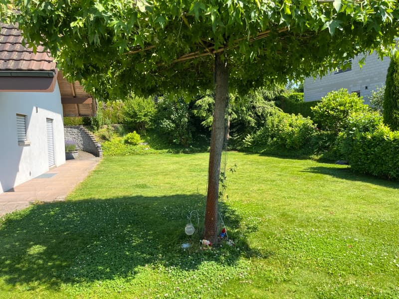 Gepflegtes 6.5-Zimmer-Einfamilienhaus in Schöftland (21)