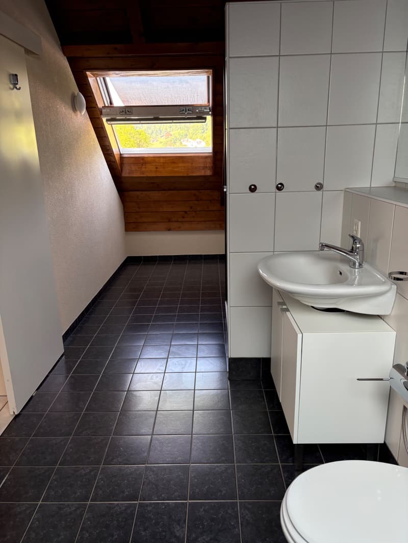 Gepflegtes 4-Zimmer-Einfamilienhaus in Hölstein (6)