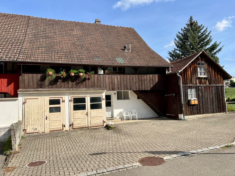 Zweifamilienhaus in Eglisau (2)