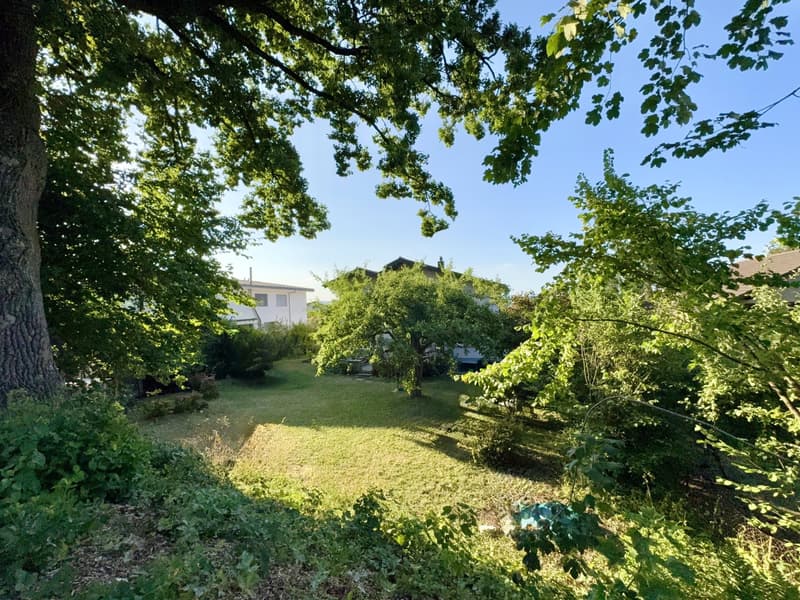 Parc Guintzet: Maison 2 appartements / Haus mit Garten in Fribourg (6)