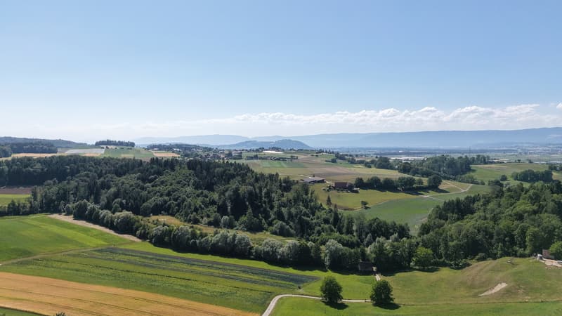 01_Drohne_Aussicht