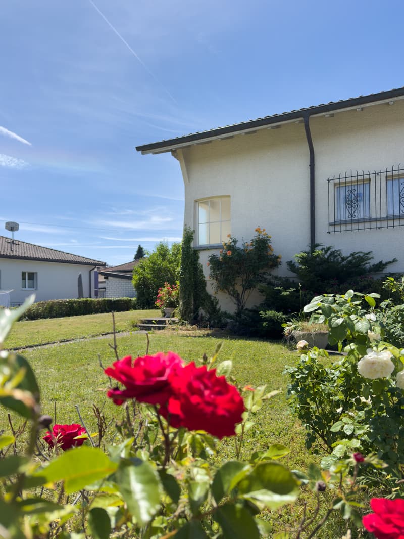 01_Haus von aussen weisse:rote Rosen 2