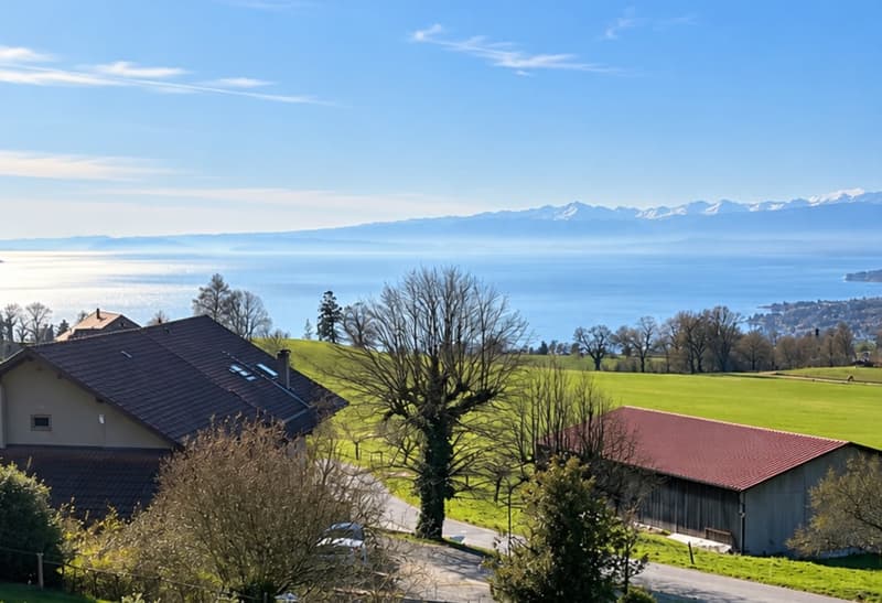 Villa familiale contemporaine avec vue panoramique sur le Léman – Aran (1)