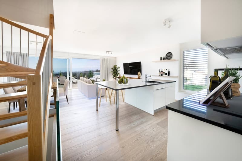 Villa familiale contemporaine avec vue panoramique sur le Léman – Aran (3)