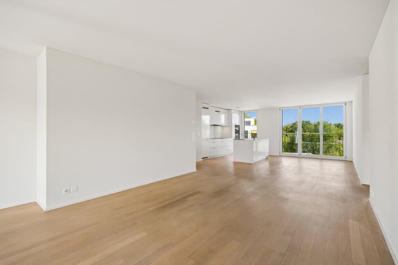 Bright and modern 4.5-room apartment in a quiet neighborhood (2)