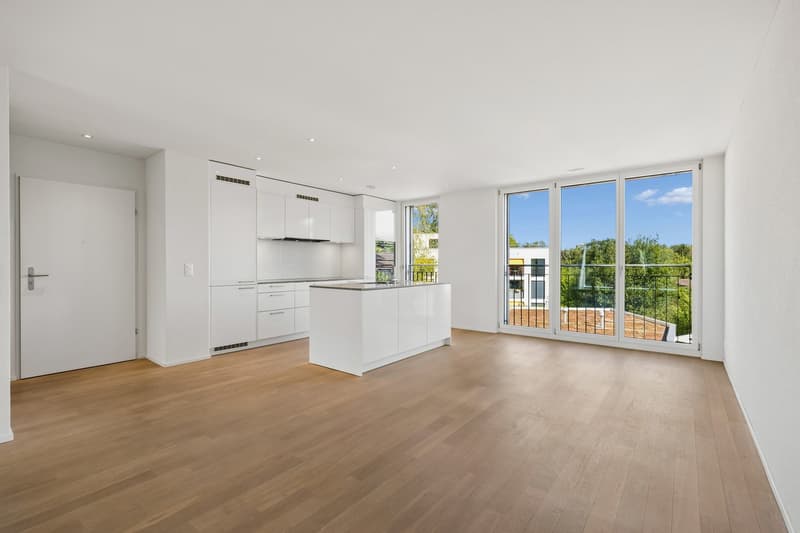 Bright and modern 4.5-room apartment in a quiet neighborhood (3)