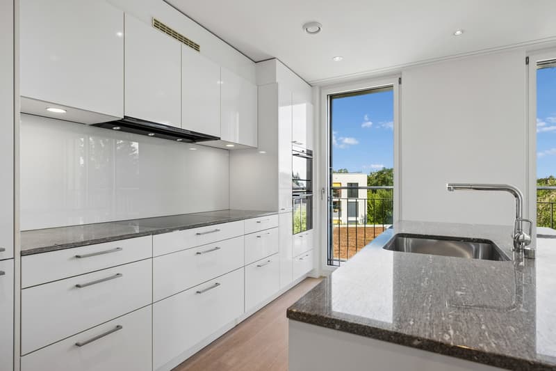 Bright and modern 4.5-room apartment in a quiet neighborhood (6)