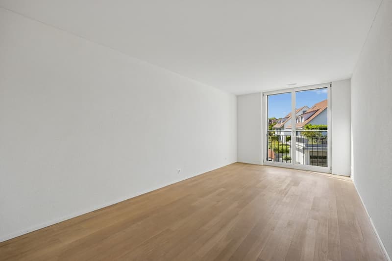 Bright and modern 4.5-room apartment in a quiet neighborhood (7)