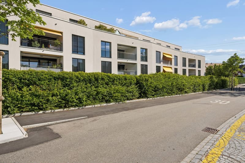 Bright and modern 4.5-room apartment in a quiet neighborhood (1)