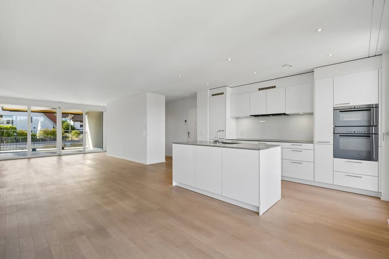 Bright and modern 4.5-room apartment in a quiet neighborhood (4)