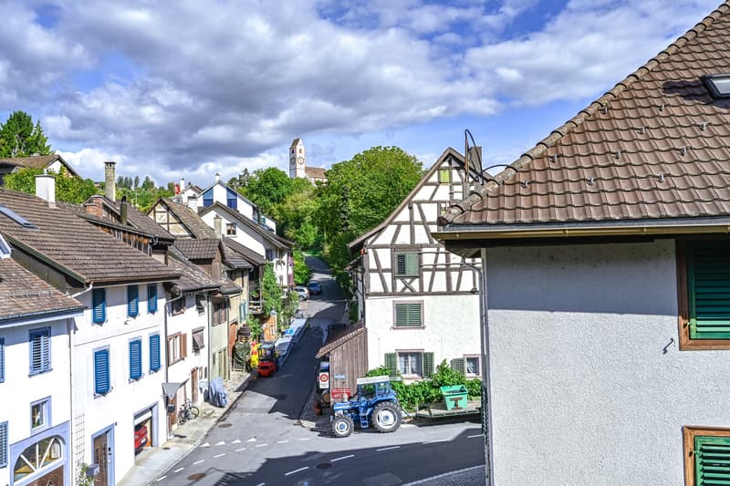 Restaurant Maienburg – Charmantes Gastgewerbe-Objekt in Hallau (16)
