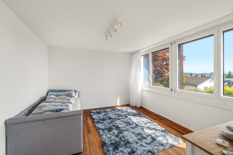 Pool, Privatsphäre und Alpenpanorama in Bassersdorf (8)