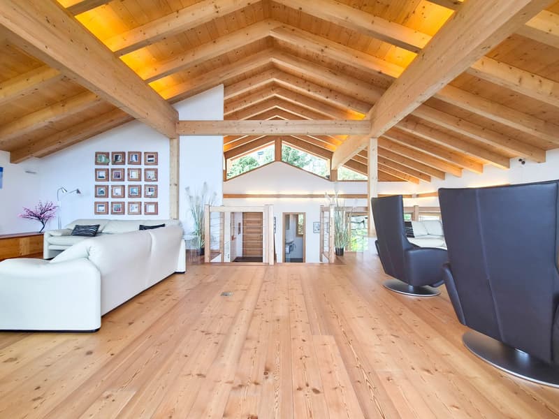 Exceptional chalet on the edge of the bisse and near ski slopes! (13)