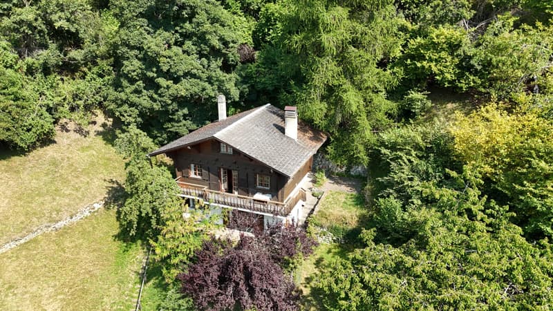 Chalet in Isérables in un'oasi di pace! (6)