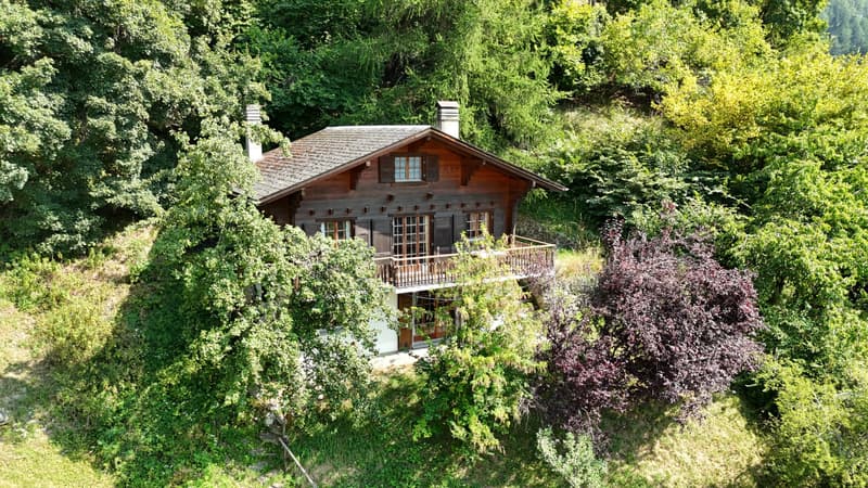 Chalet in Isérables in un'oasi di pace! (7)