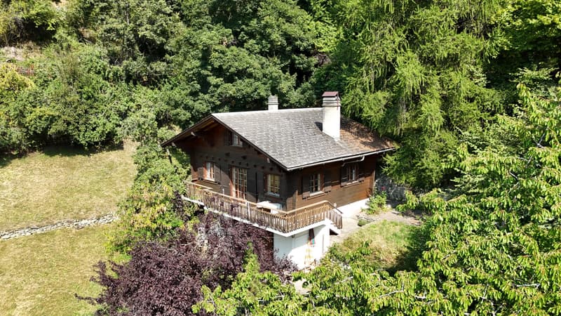 Chalet in Isérables in un'oasi di pace! (5)