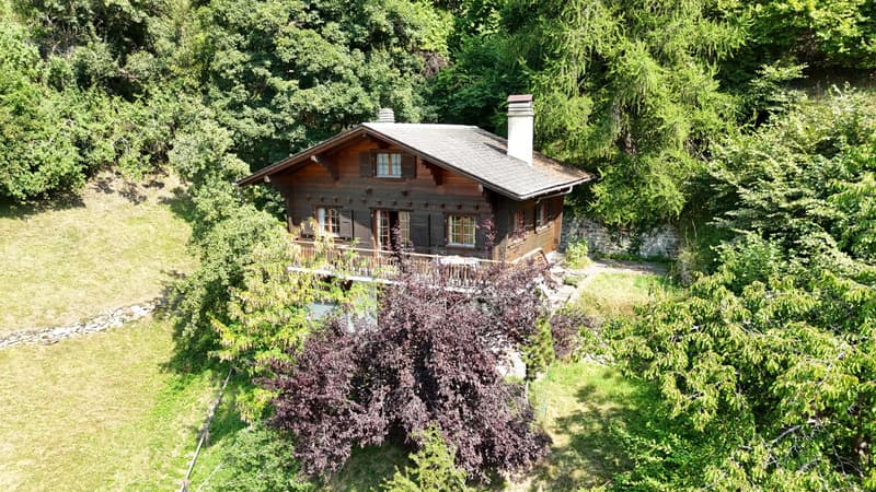 Chalet in Isérables in un'oasi di pace! (1)