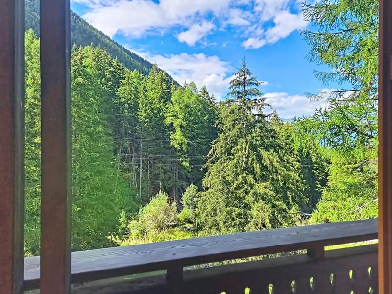 3 bedrooms apartment in Planchouet (Nendaz) in the heart of the forest! (11)