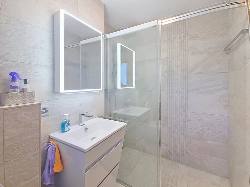 Two exceptional adjacent apartments in Nendaz (10)